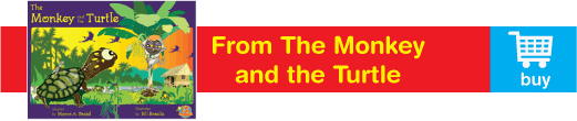 Buy The Monkey and the Turtle here.